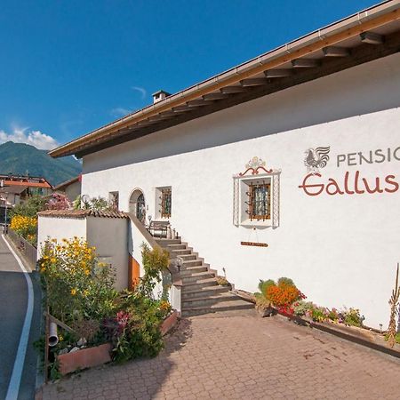 Pension Gallus Laces Esterno foto